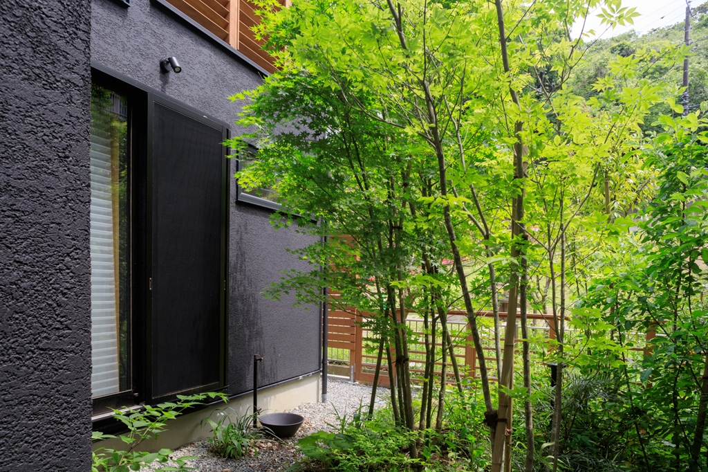 【2026年最新】植栽・シンボルツリー設置費用の完全ガイド!相場と安く抑える7つの裏技